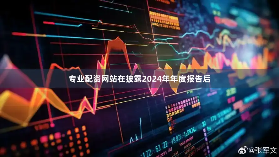 专业配资网站在披露2024年年度报告后