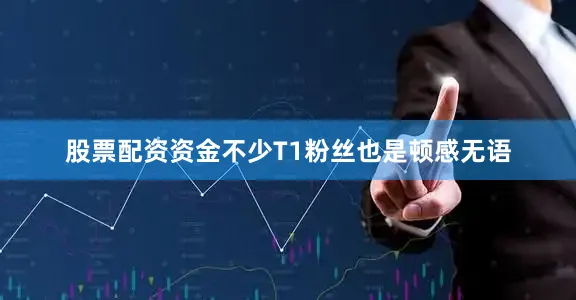 股票配资资金不少T1粉丝也是顿感无语